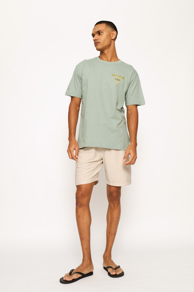 Fade Out Icon Tee - Sage