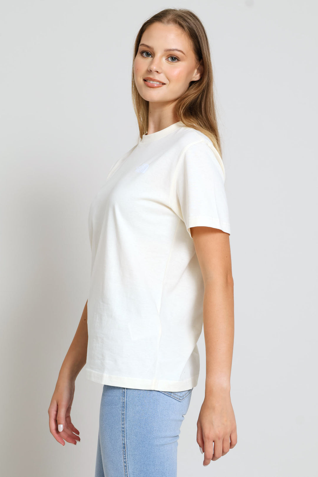 Evolution Box Relaxed Short Sleeve Tee - Taupe