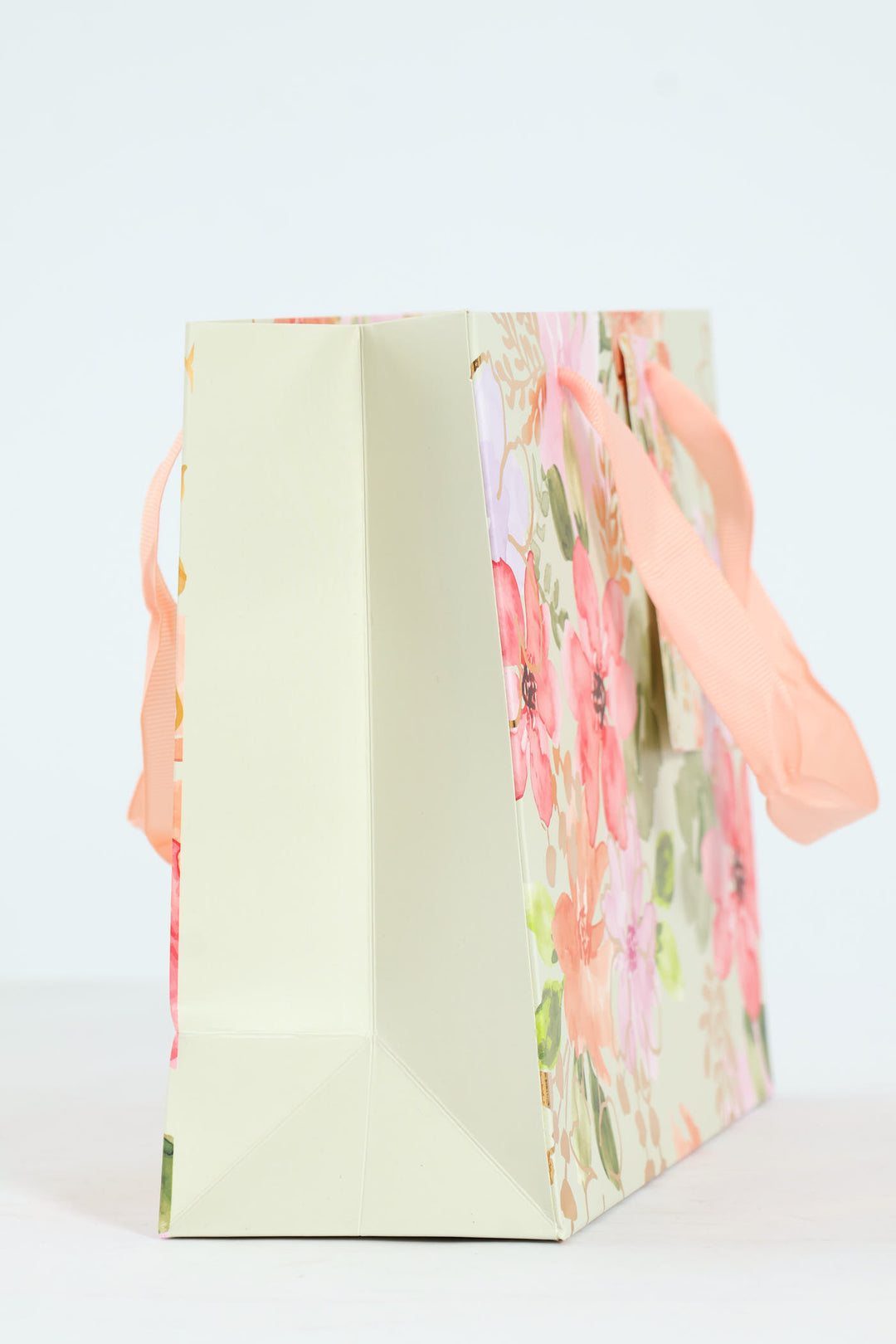 Small Floral Watercolour Gift Bag - Sage