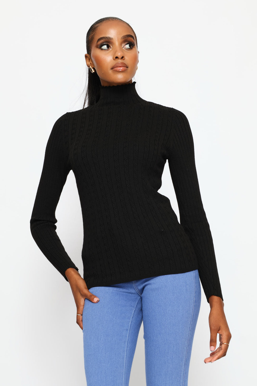 Plain Cable Turtleneck Knitwear - Black