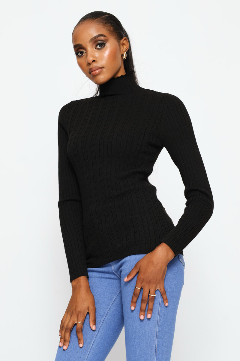 Plain Cable Turtleneck Knitwear - Black
