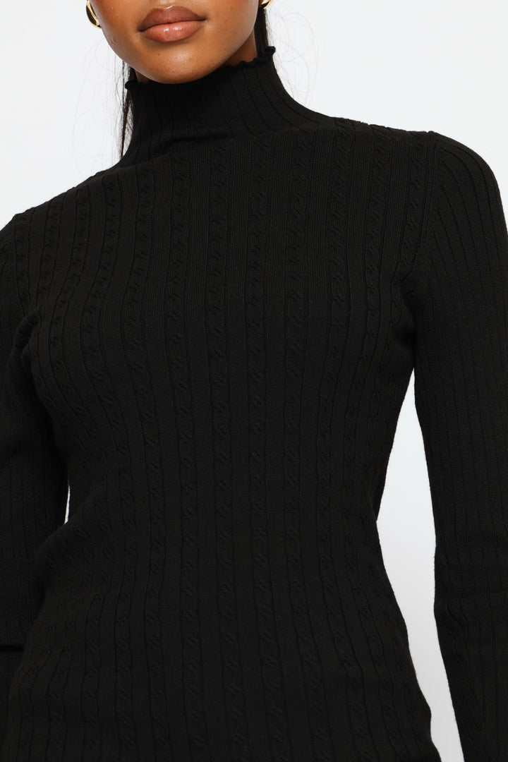 Plain Cable Turtleneck Knitwear - Black