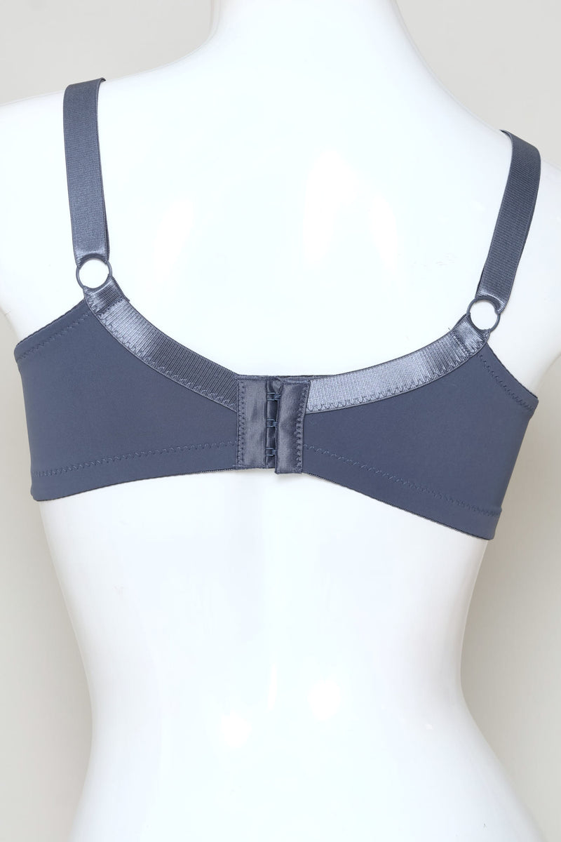 2 Pack Lace Plunge Bra - Blue