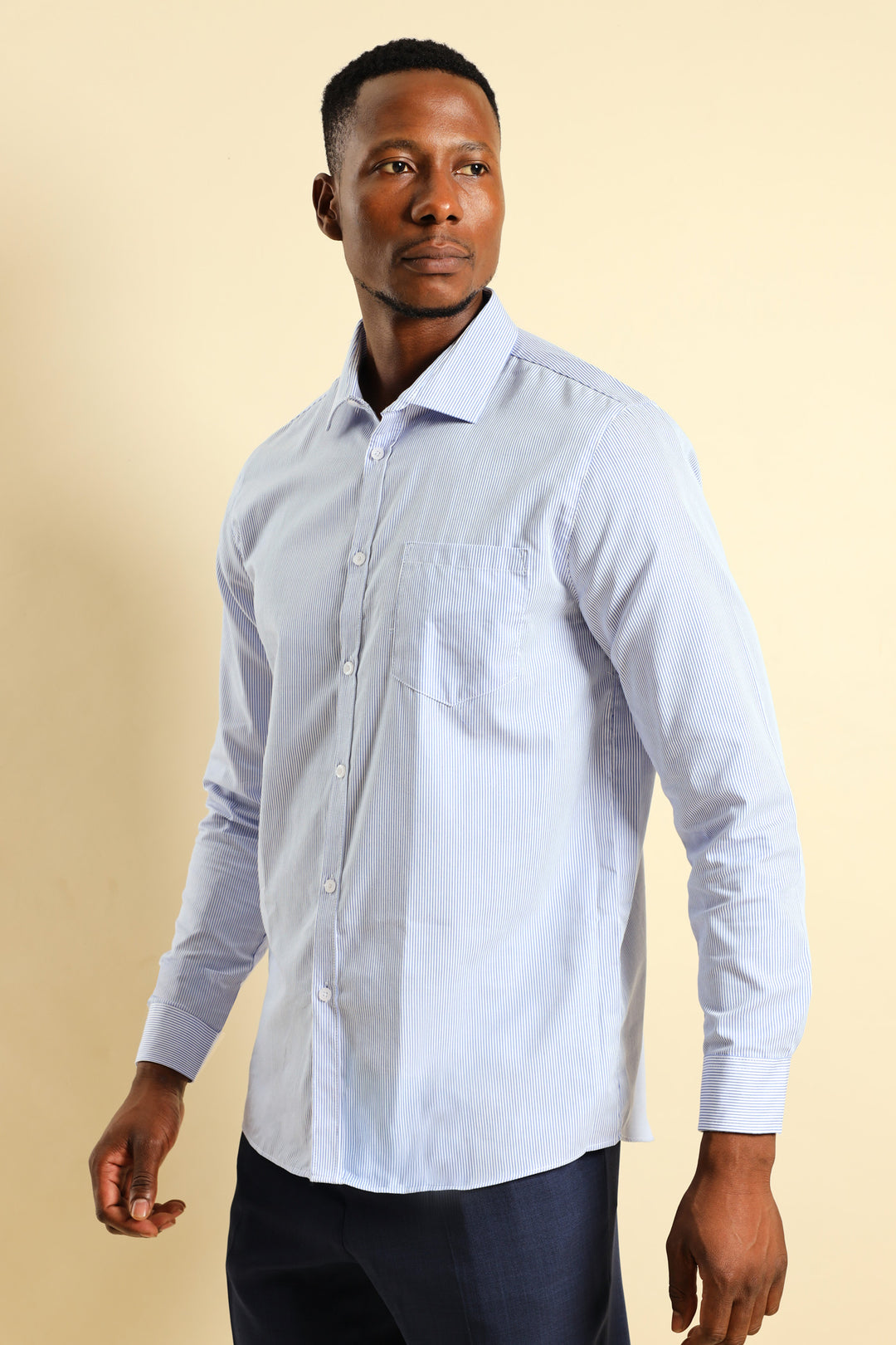 Premium Stripe Shirt - White/Blue