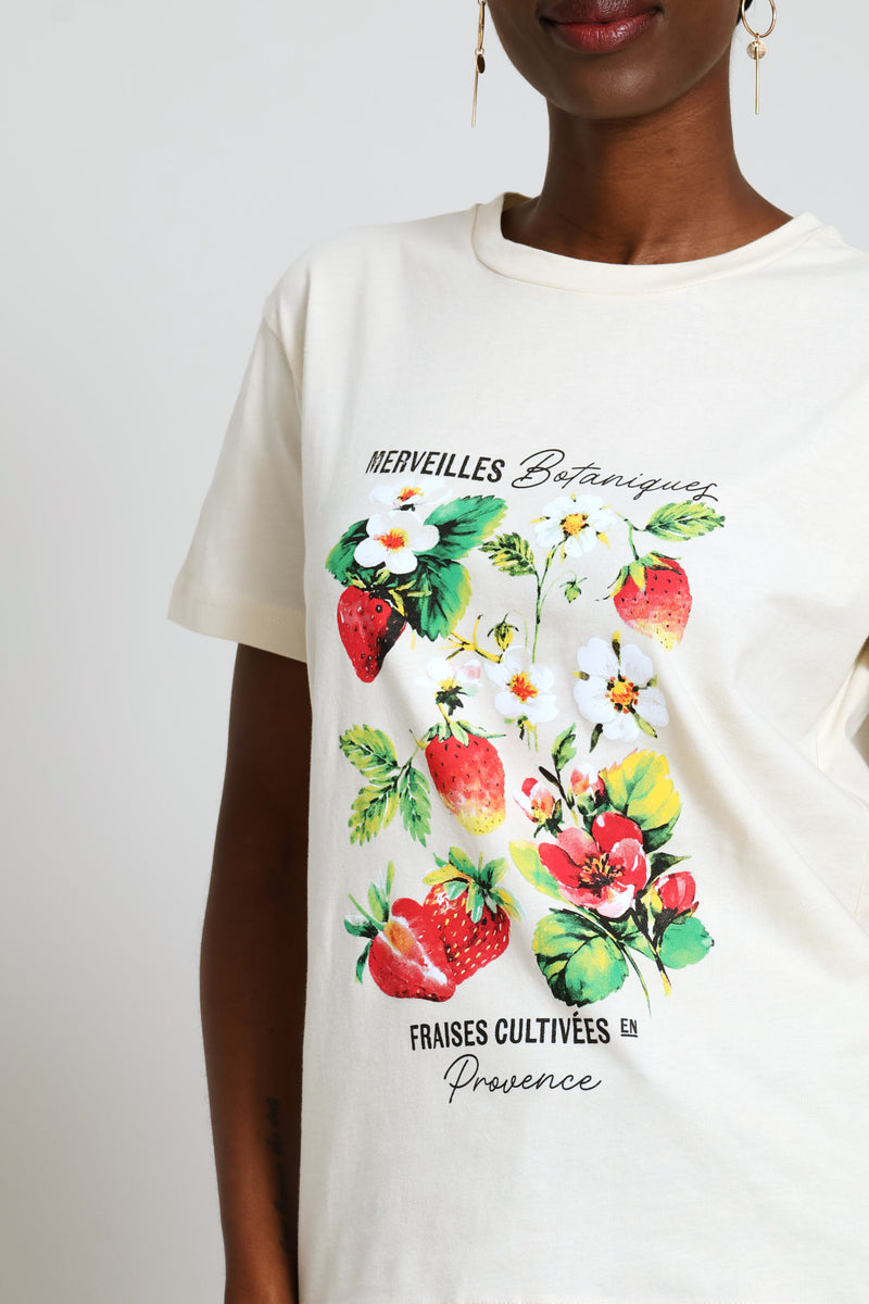 Floral Fruit Market Tee - Cement