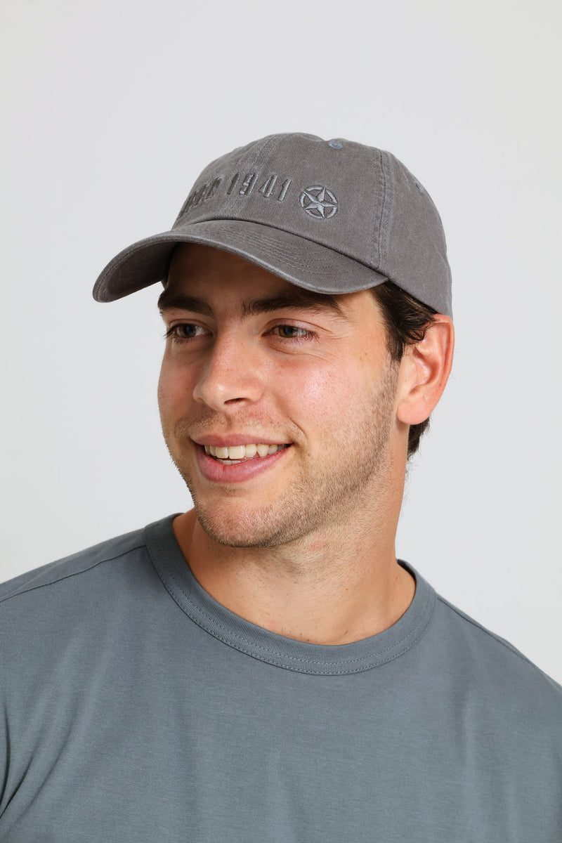 Dad Cap - Grey