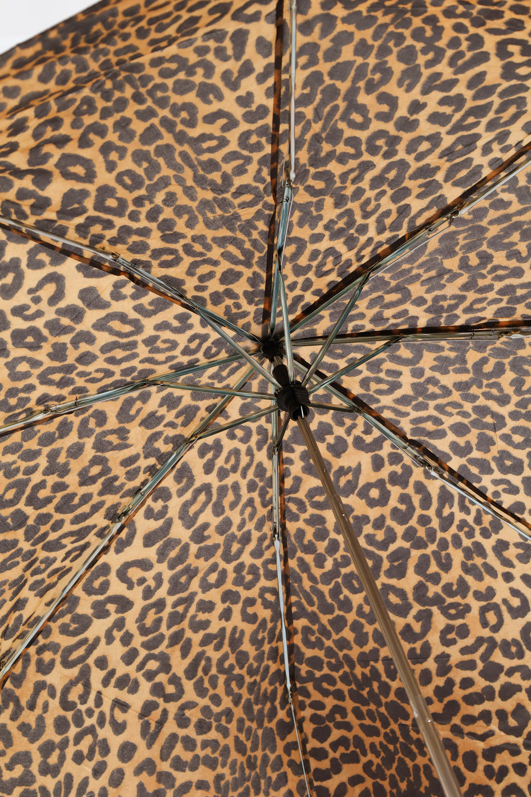 Mini 3 Fold Leopard Print Umbrella - Animal