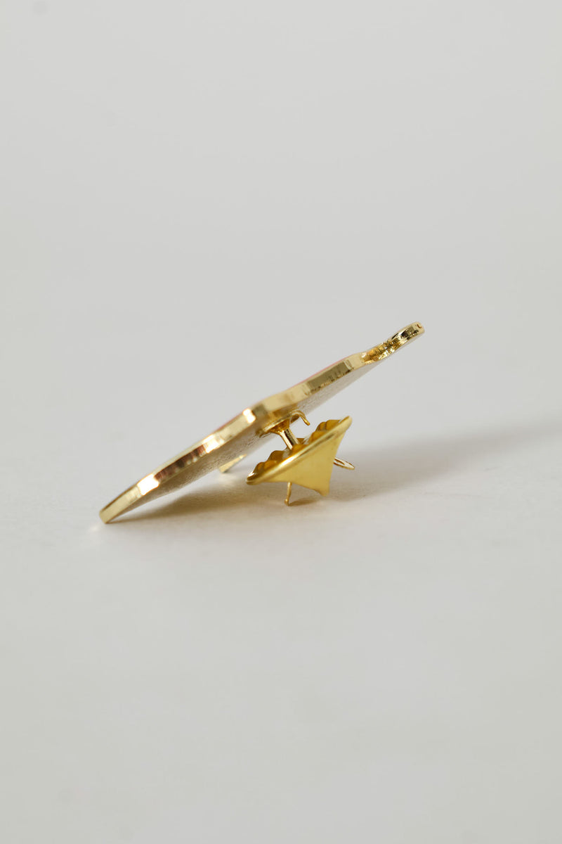 SA Supporter Lapel Pin - Multi