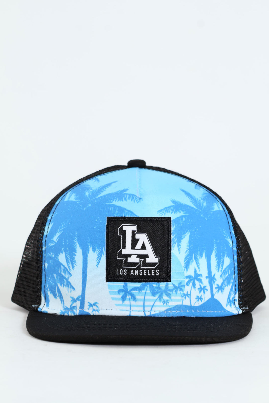Boys LA Street Palm Cap - Blue