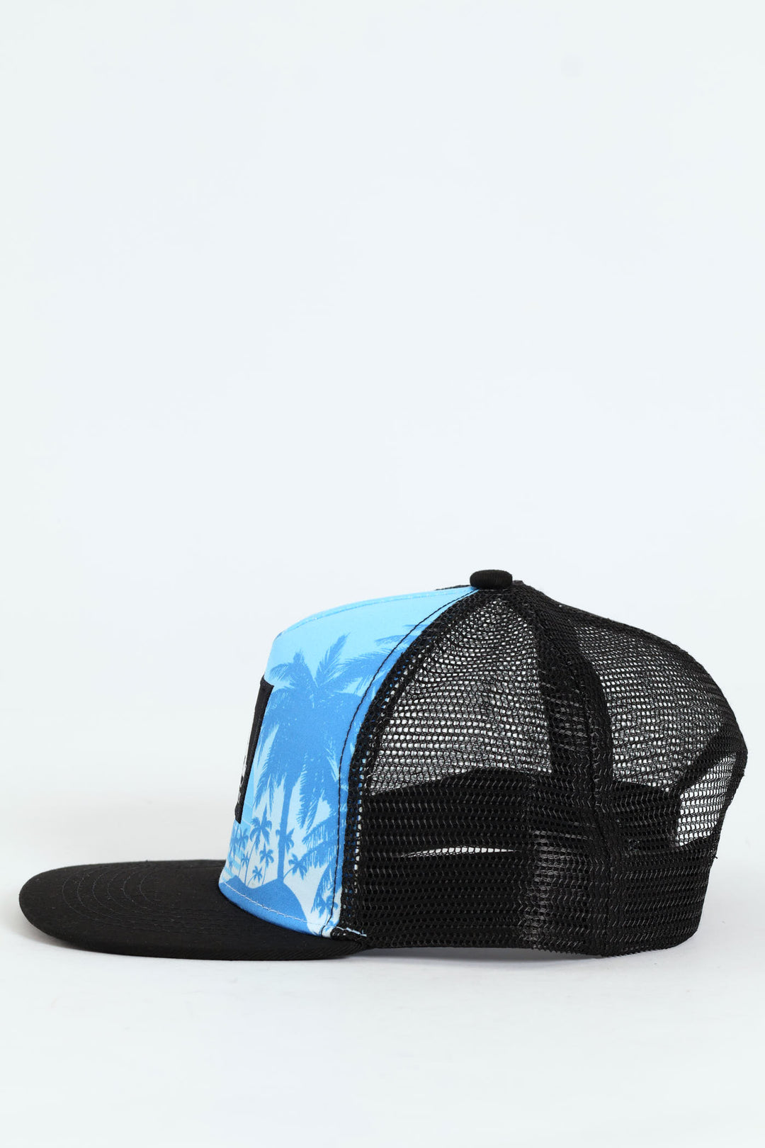 Boys LA Street Palm Cap - Blue