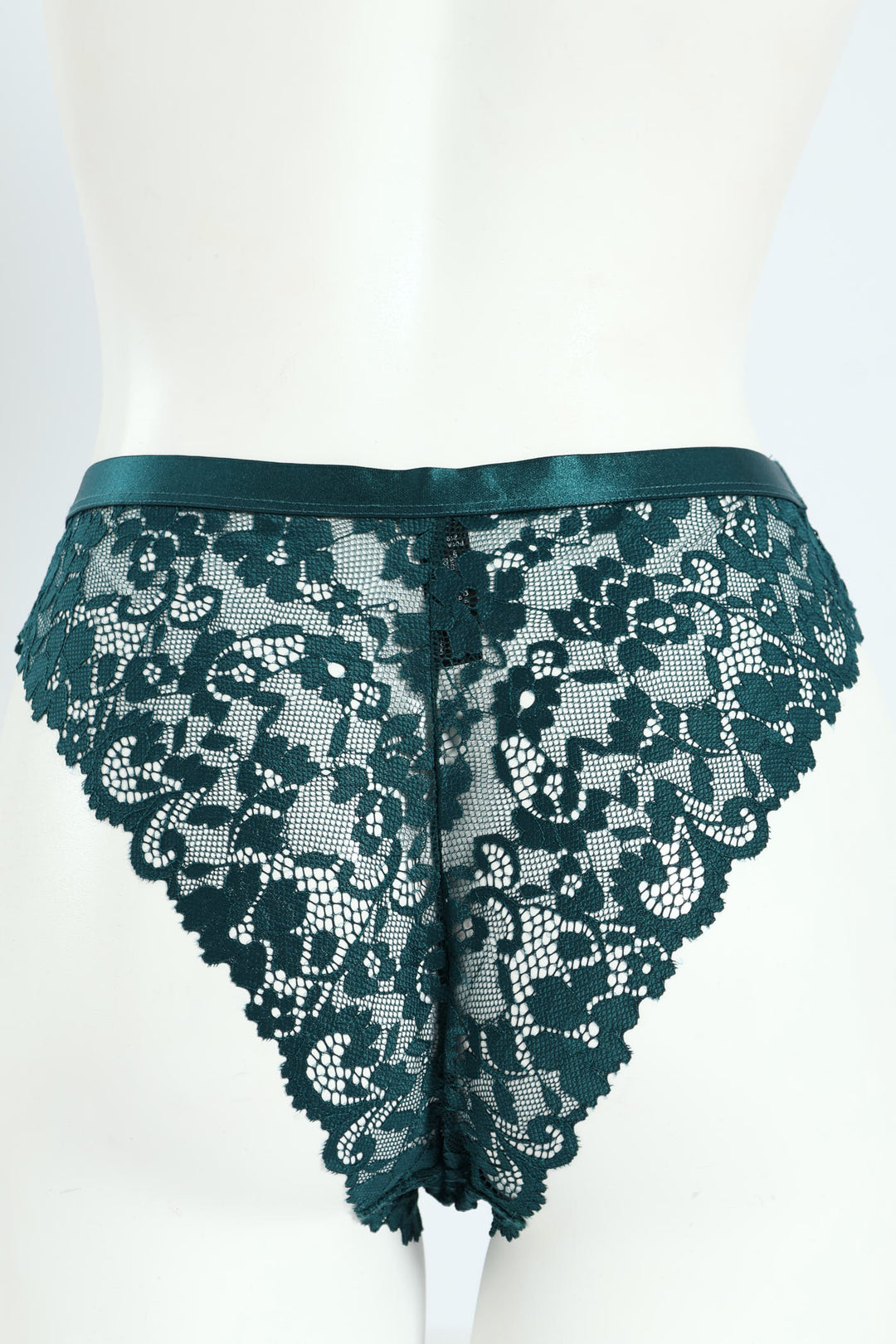 Full Lace Shimmer Waistband Hicut Panty - Teal