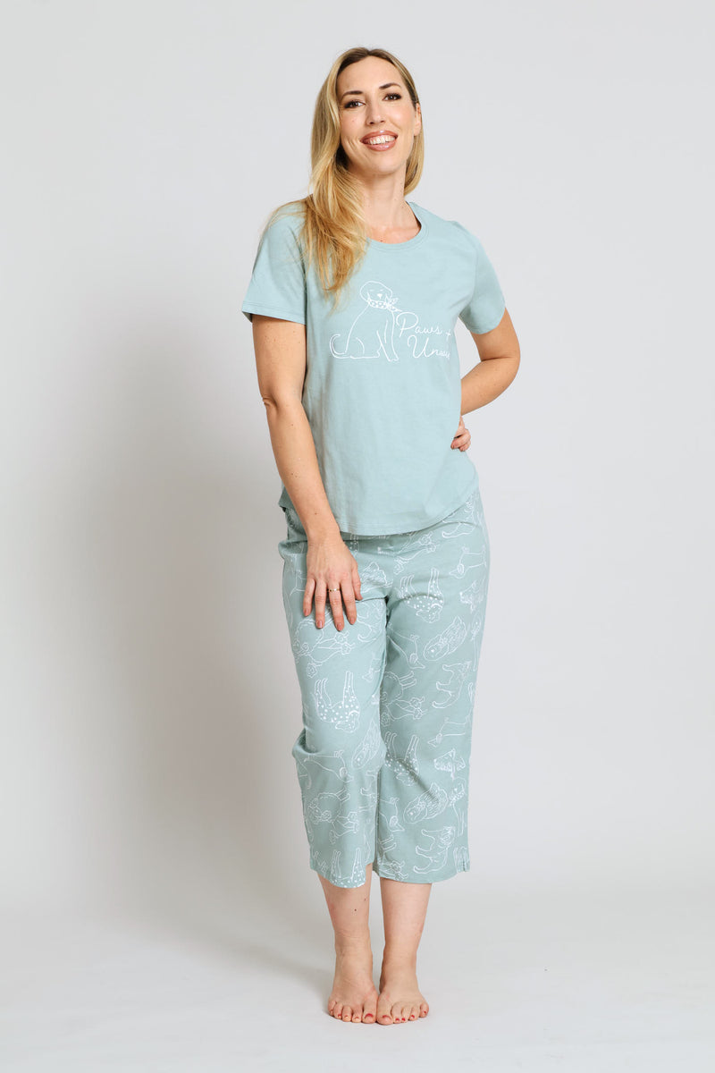 Paws & Unwind Capri Sleep Set - Duck Egg