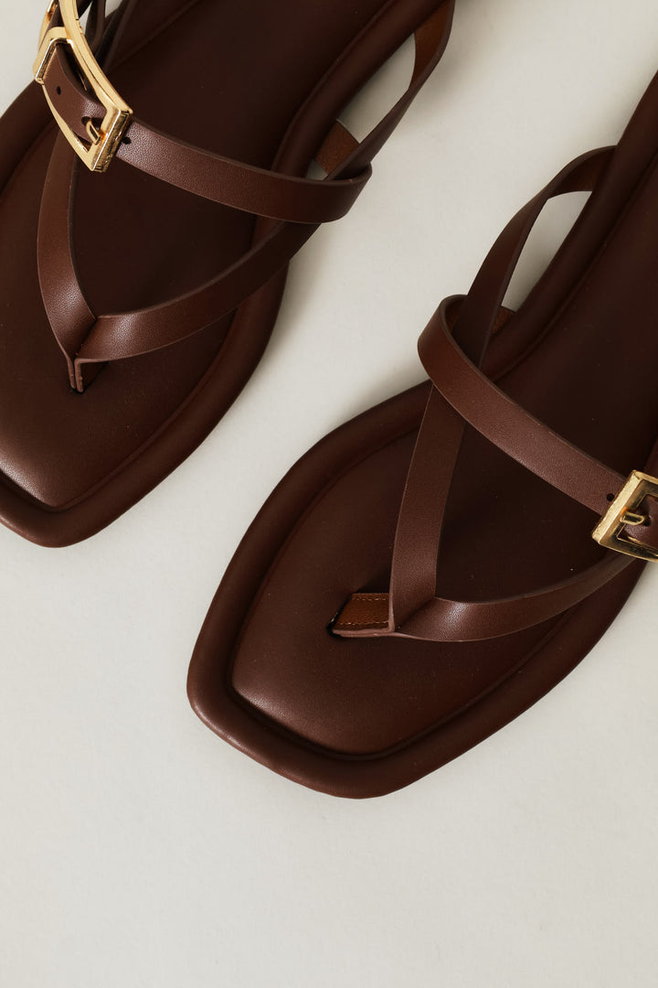 Buckle Strap Thong Sandal - Chocolate