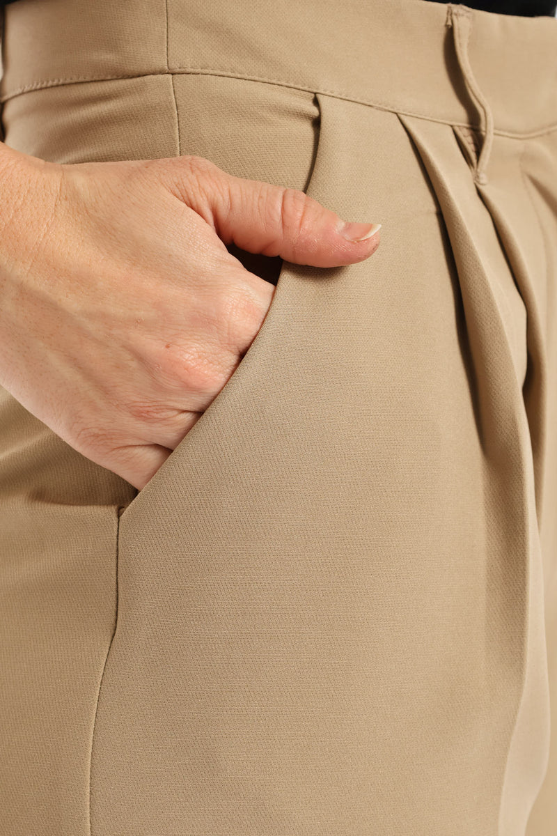 Release Pleat Wide Leg Pants - Taupe