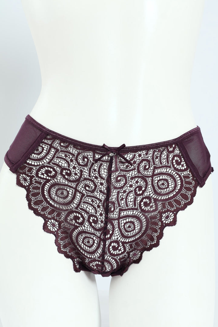 Lace & Mesh Brazilian Panty - Plum