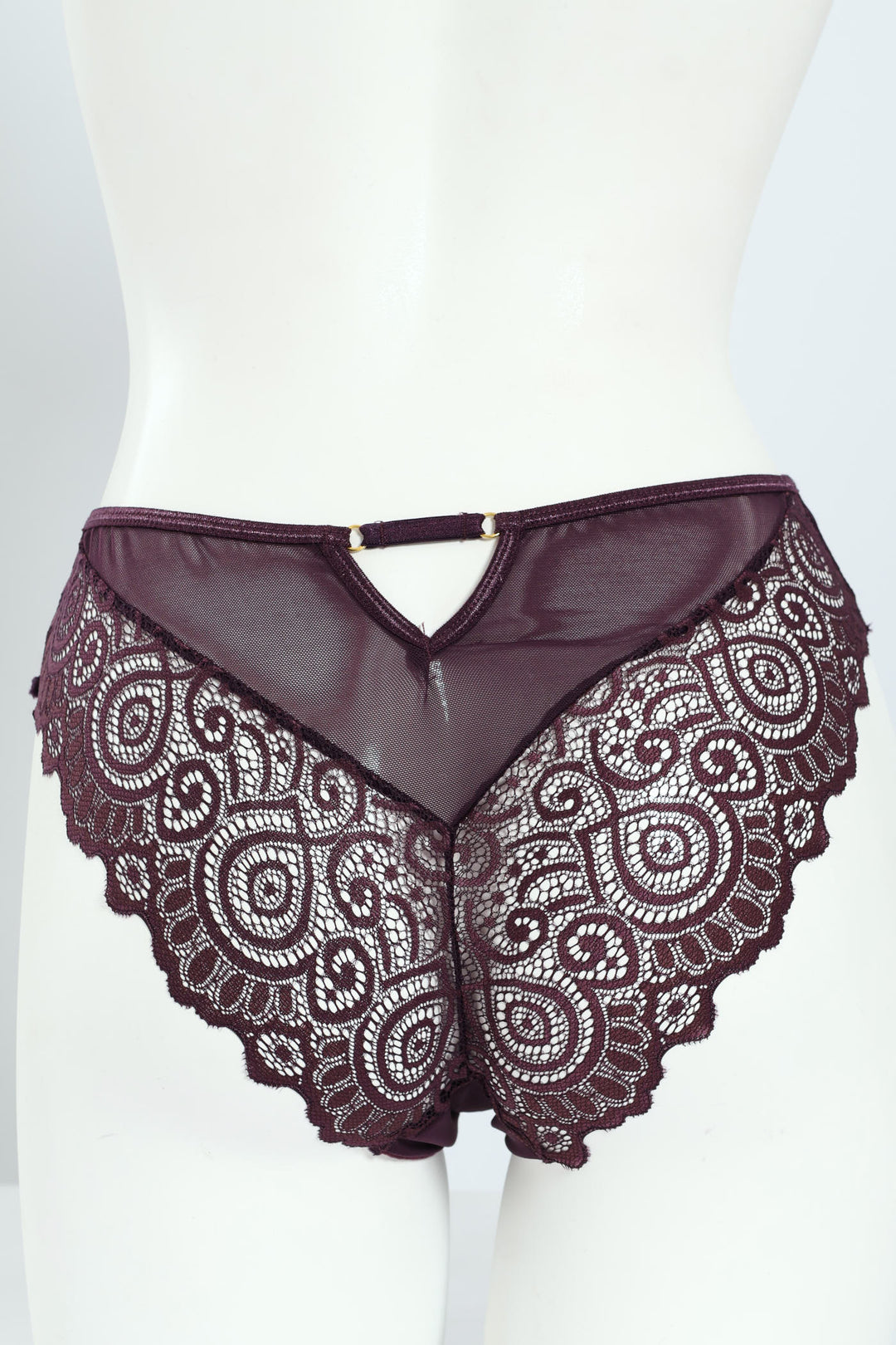 Lace & Mesh Brazilian Panty - Plum