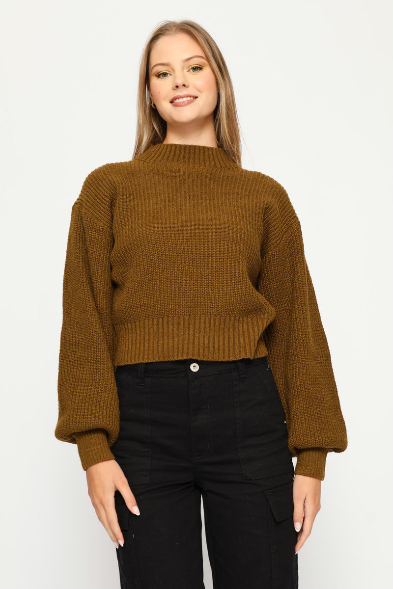 Plain Turtle Neck Knit Pullover - Olive