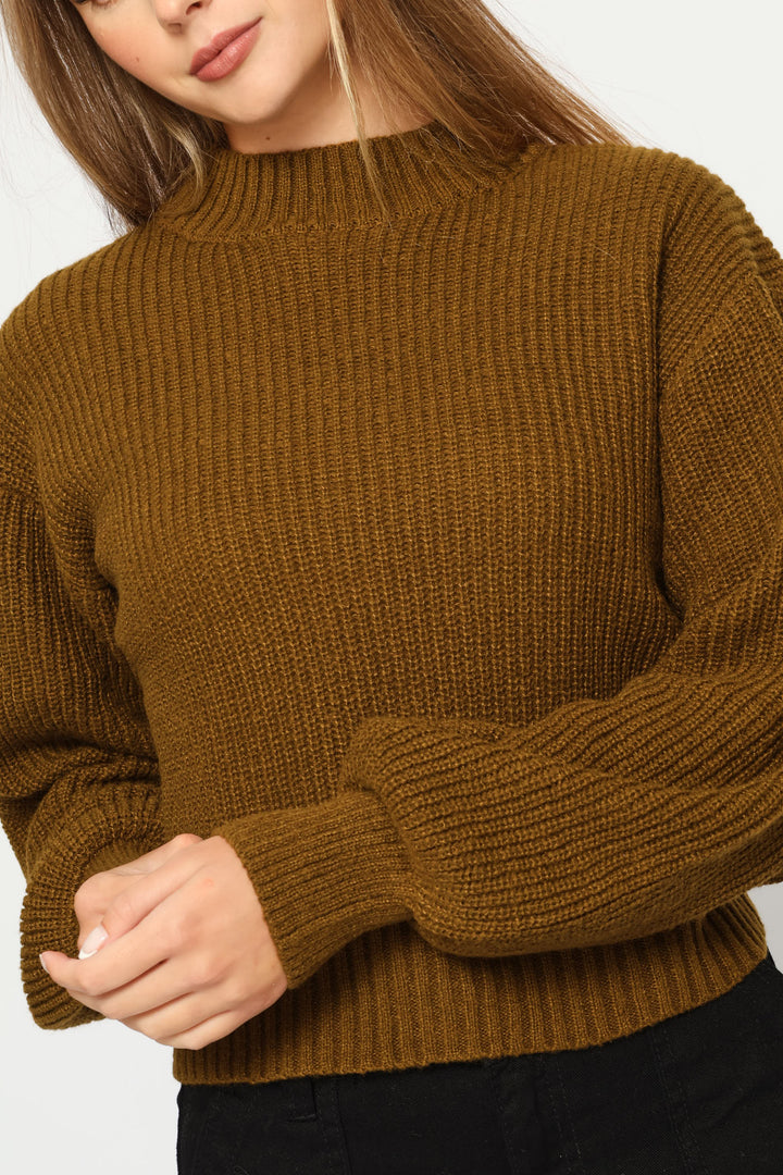 Plain Turtle Neck Knit Pullover - Olive