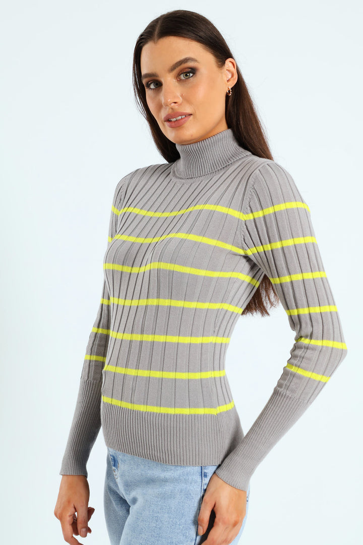 Ribbed Striped Poloneck - Grey/Lime