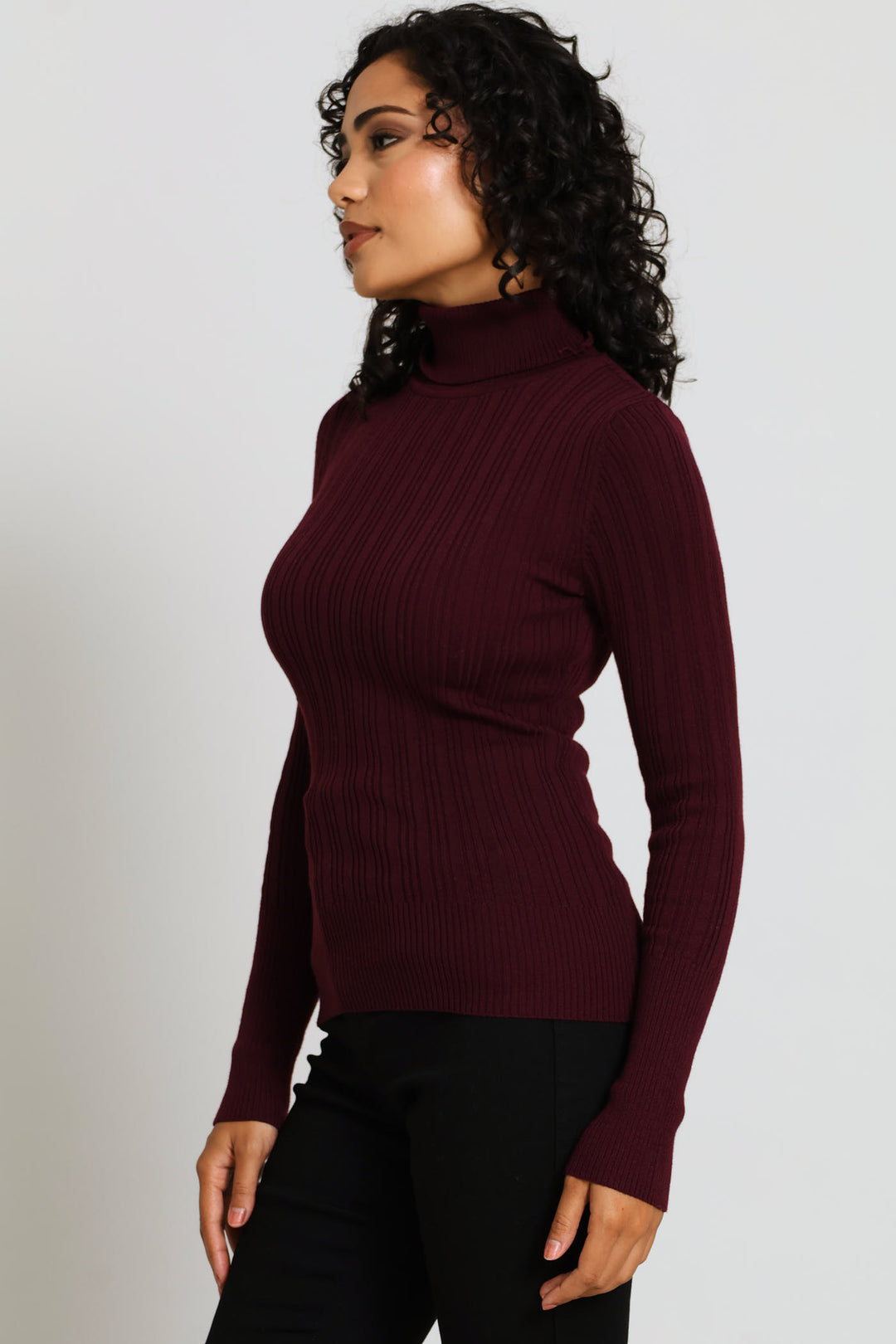 Plain Ribbed Poloneck - Plum