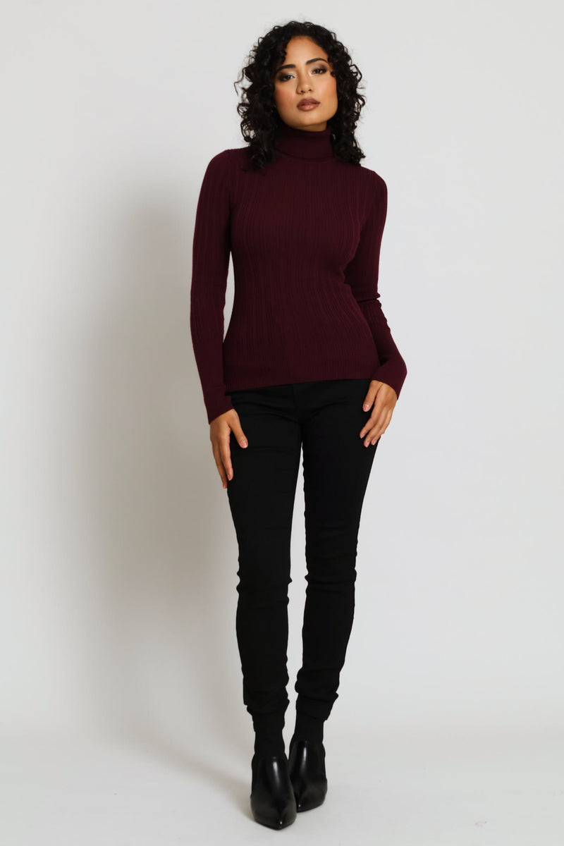 Plain Ribbed Poloneck - Plum