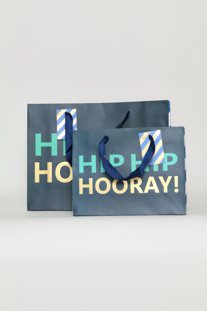 Hip Hip Hooray Large Gift Bag - Teal