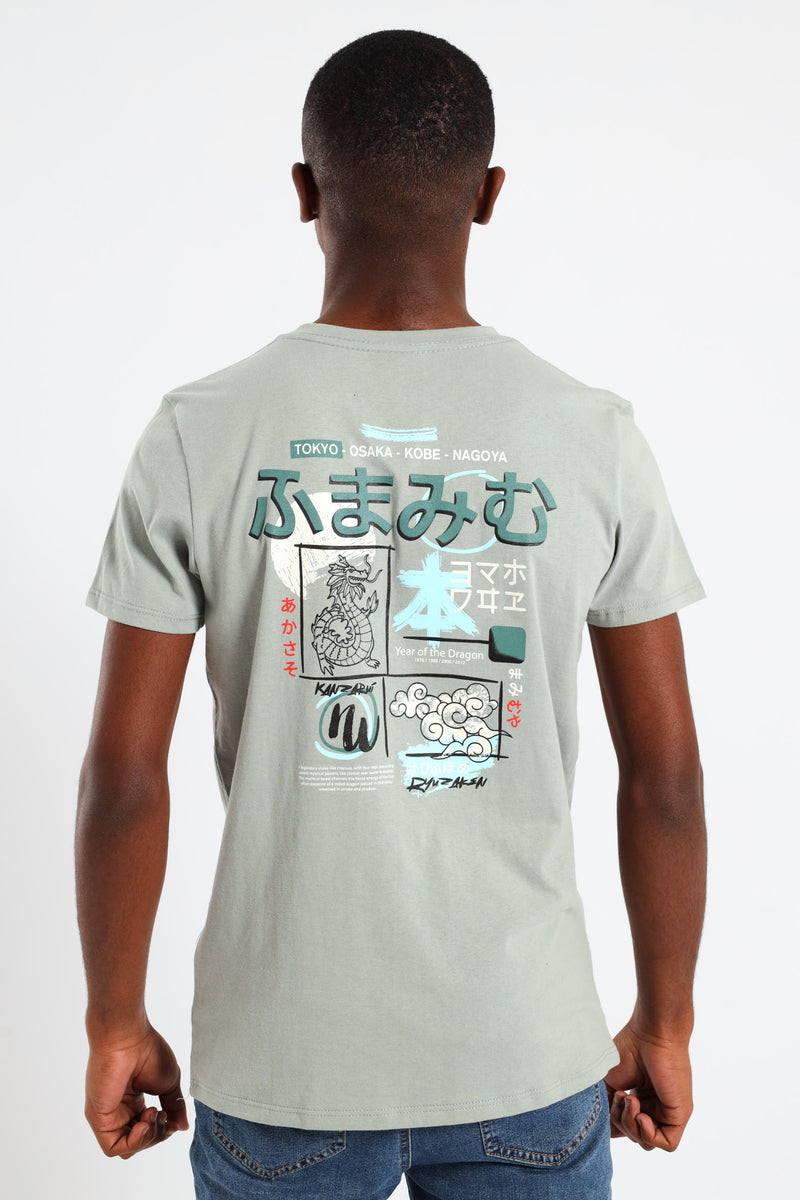 Boys Japanese Dragon Puff Back Printed Tee - Sage