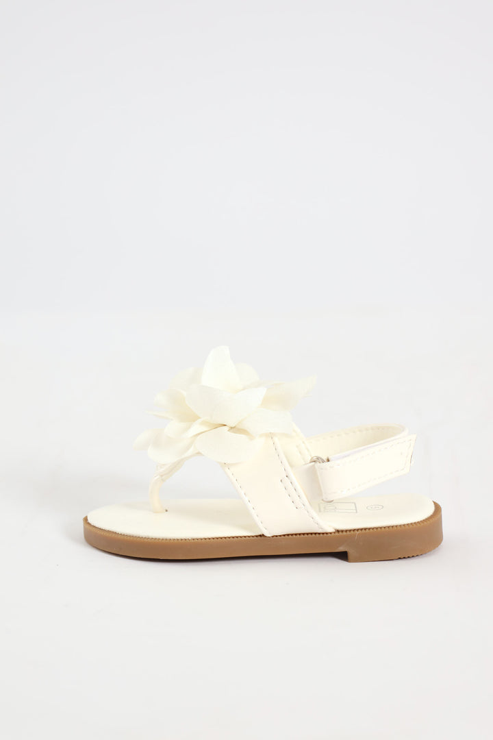 Pre-Girls Flower Thong Sandal - Ecru