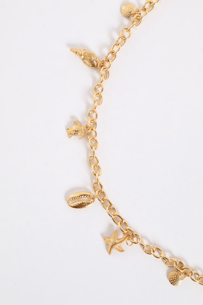 Shell Chain Belt - Gold