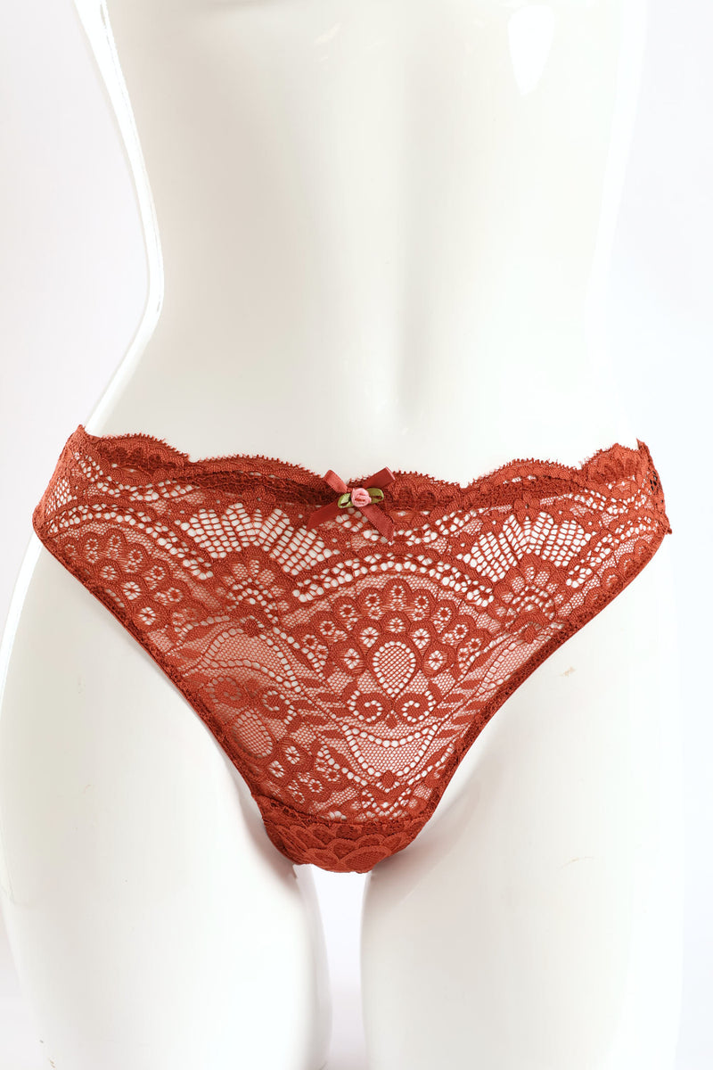 Full Lace Brazilian Panties - Cinnamon