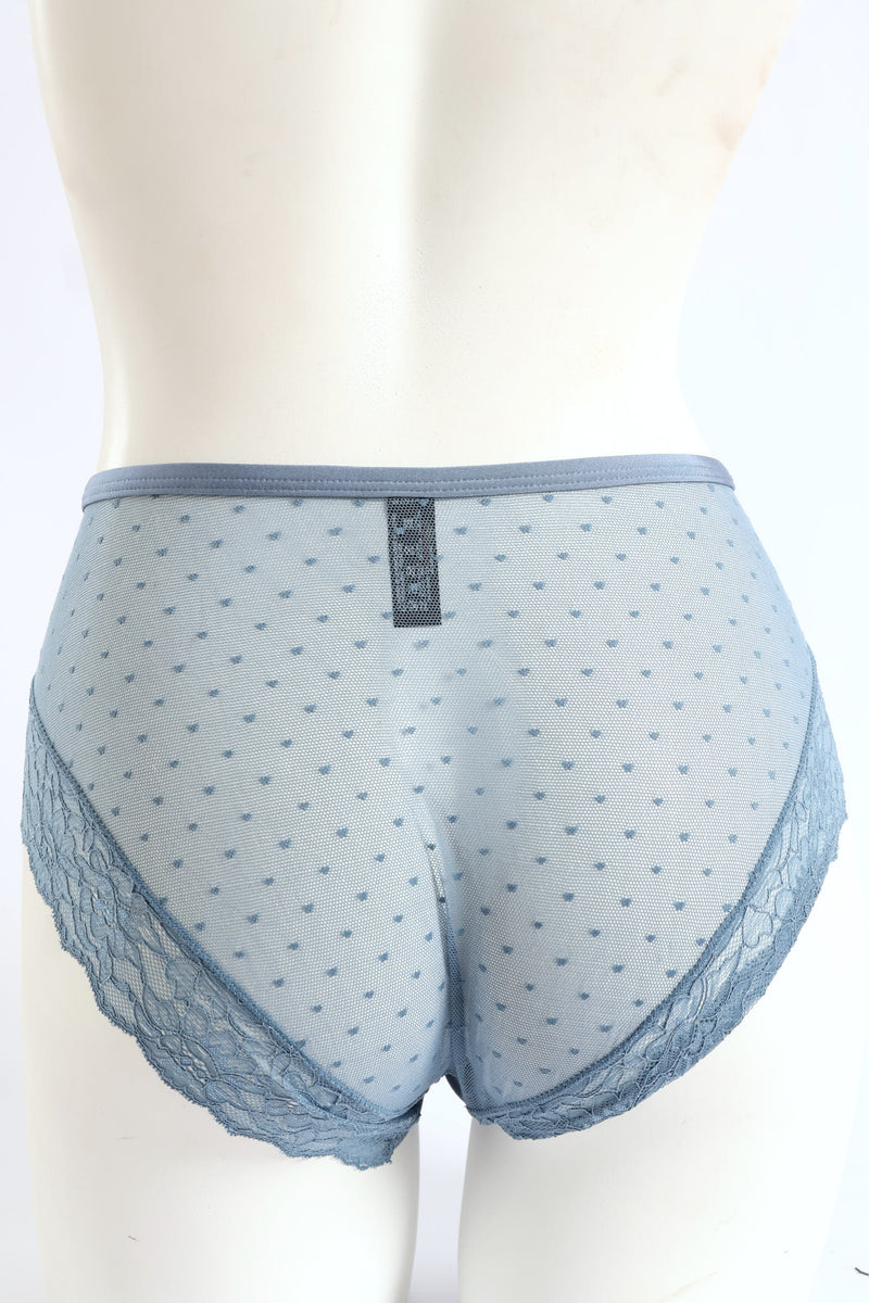 Microfibre & Lace Boyleg Panty - Blue