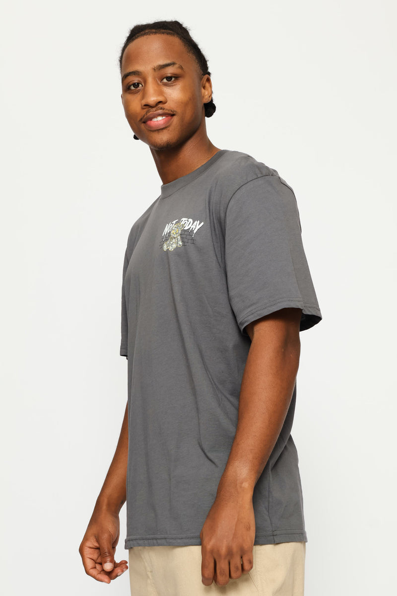 Teddy Front & Back Print Tee - Dark Grey