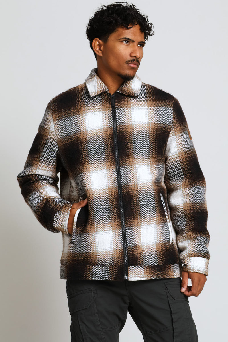 Brad Shacket - Chocolate