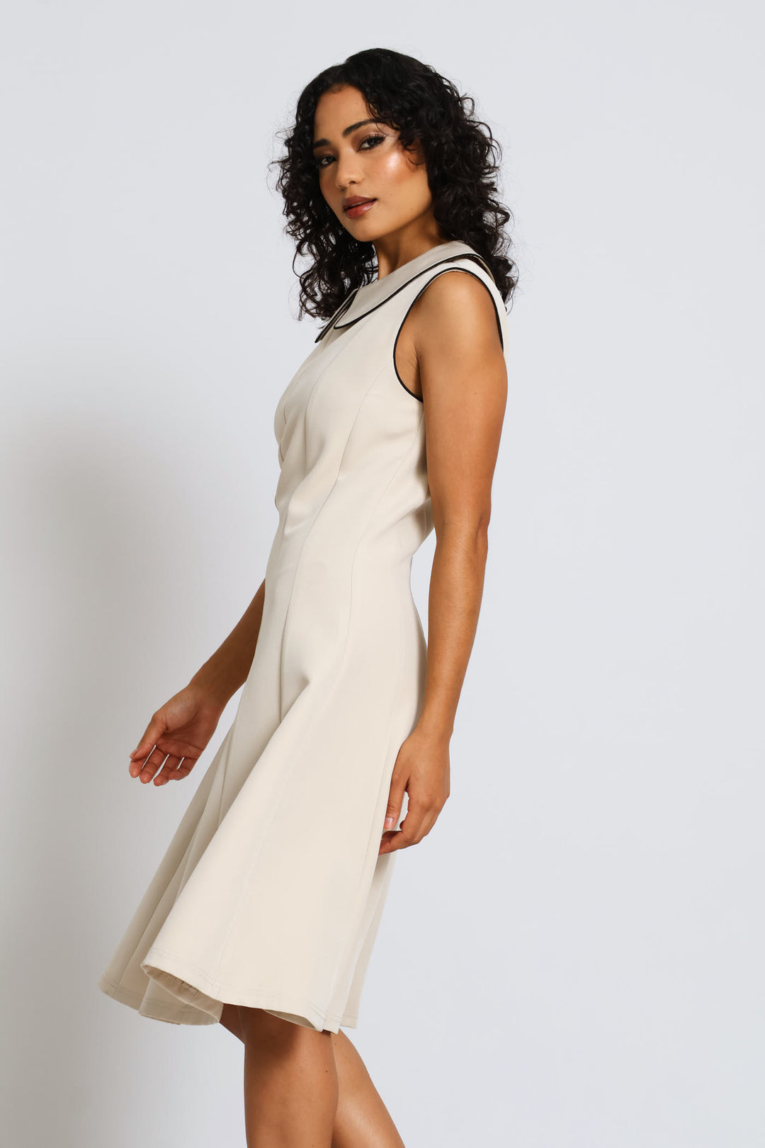 Peter Pan Collared Panelled Dress - Stone/Black