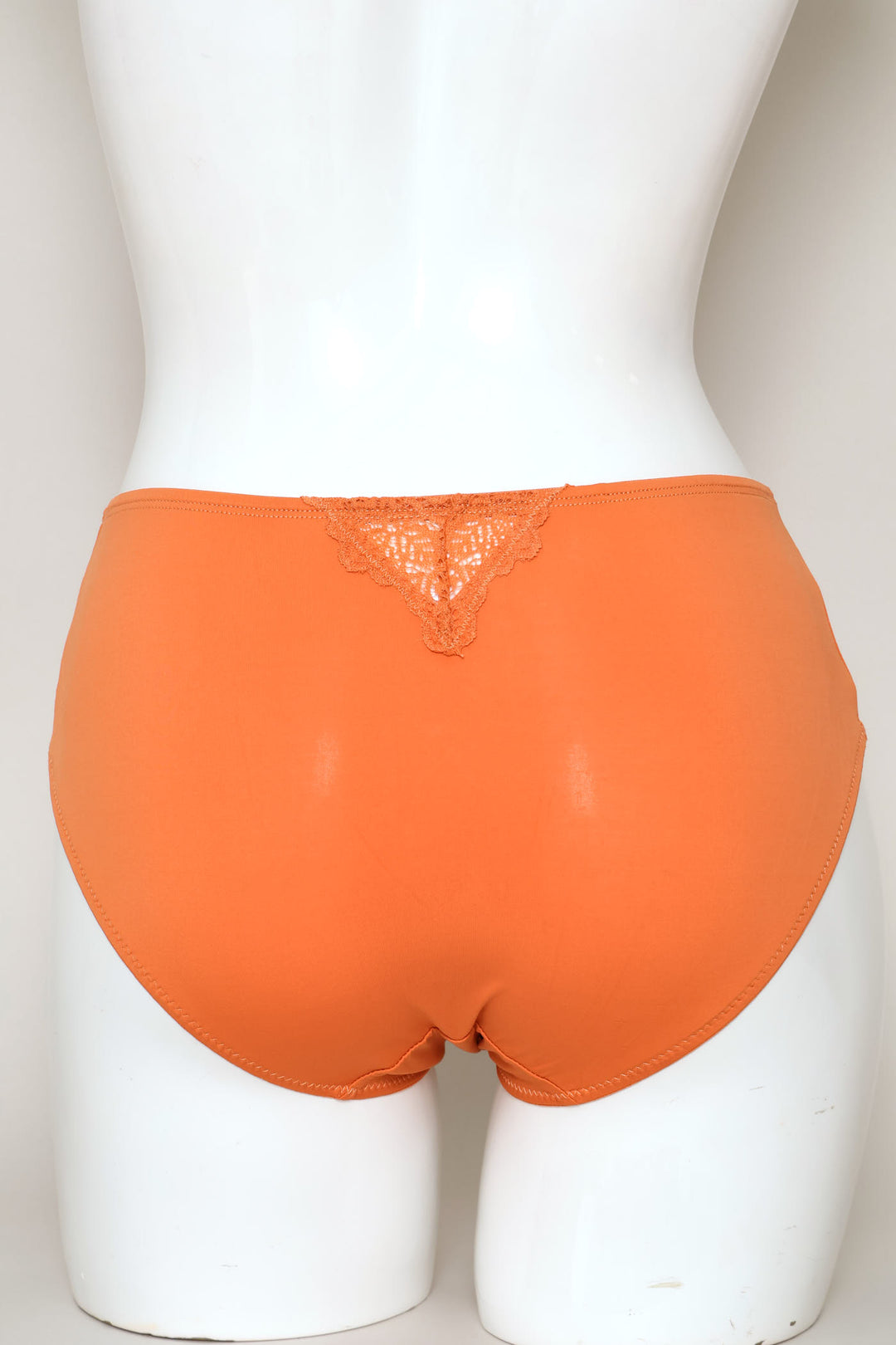 Microfiber & Lace Boyleg Panty - Rust