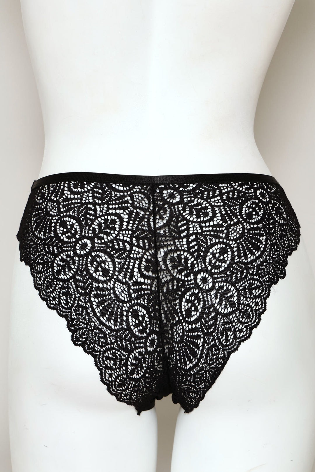 Microfiber & Lace Brazilian Panty - Black