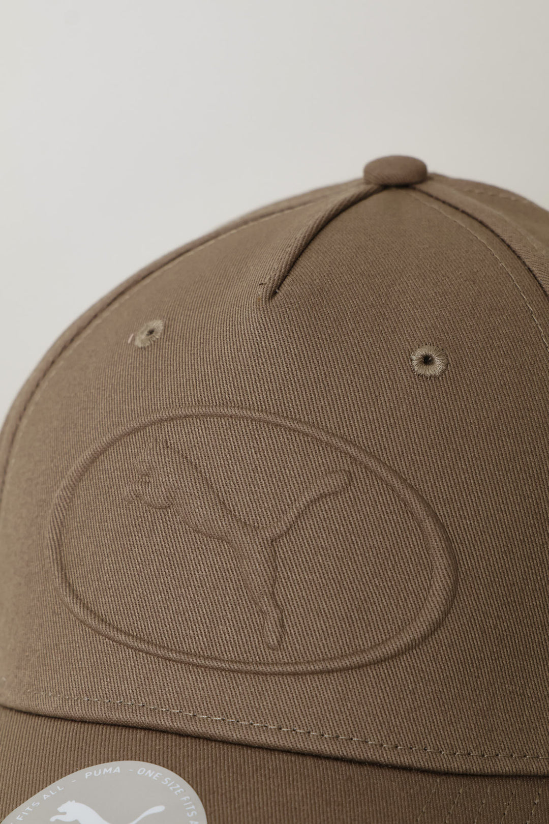 Buzz Baseball Cap - Stone