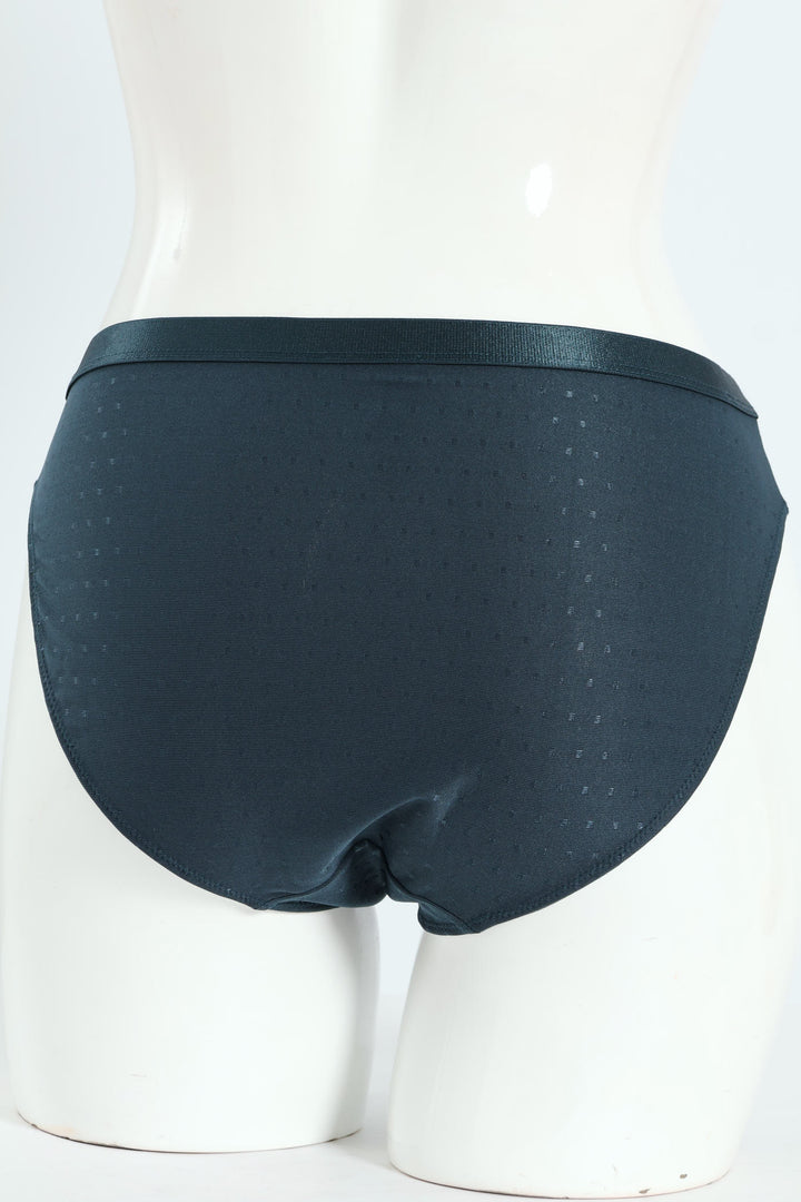 2 Pack Microfiber & Lace Hicut Panties - Teal/Mocha