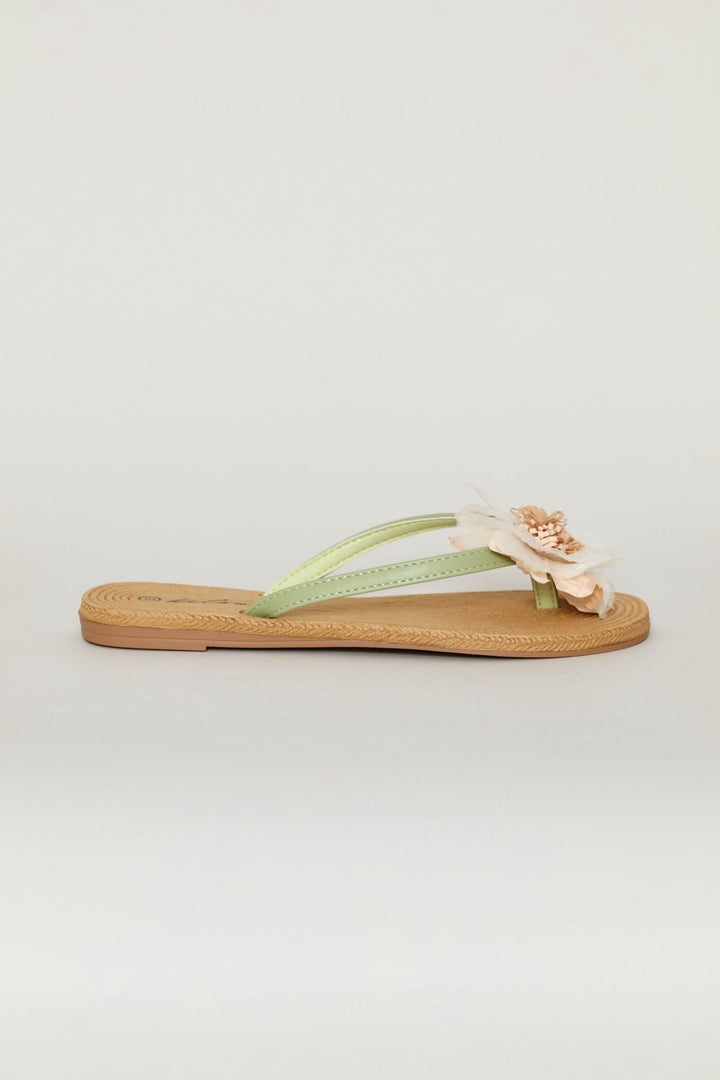 Chiffon Flower Trim Thong Sandal - Green