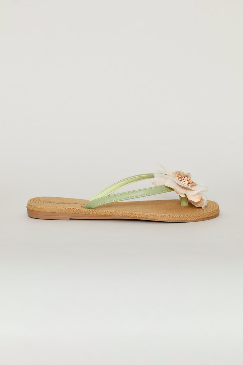 Chiffon Flower Trim Thong Sandal - Green