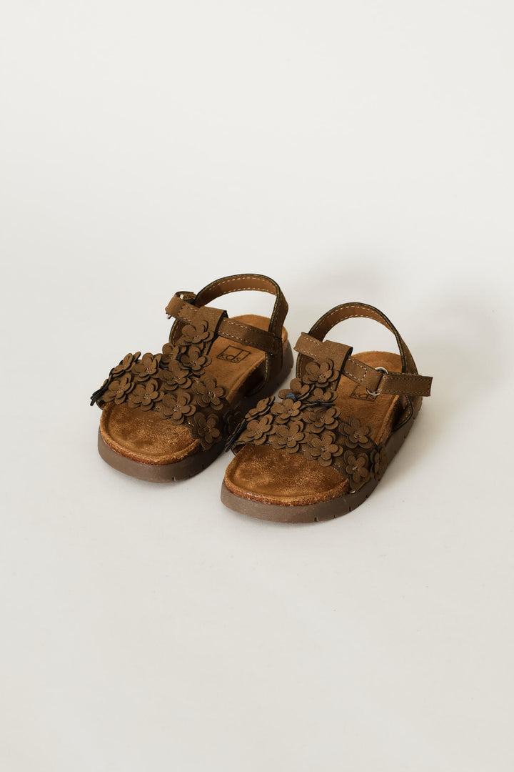 Pre-Girls T-Bar Health Sandal - Brown