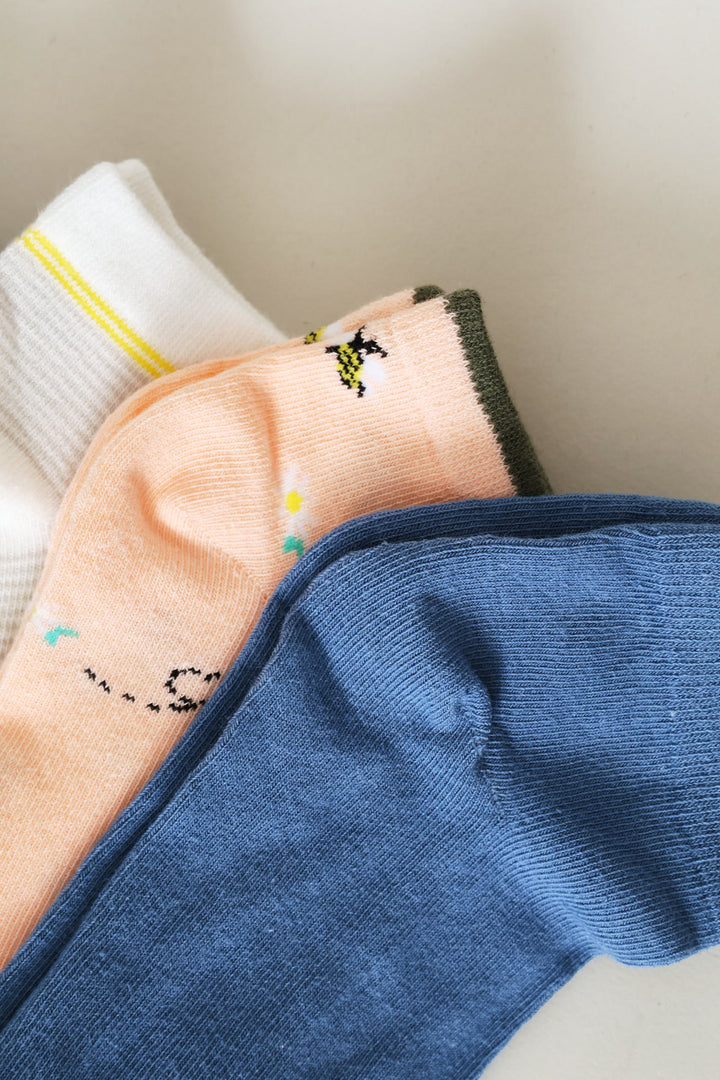 5 Pack Bees Low Cut Socks - Multi