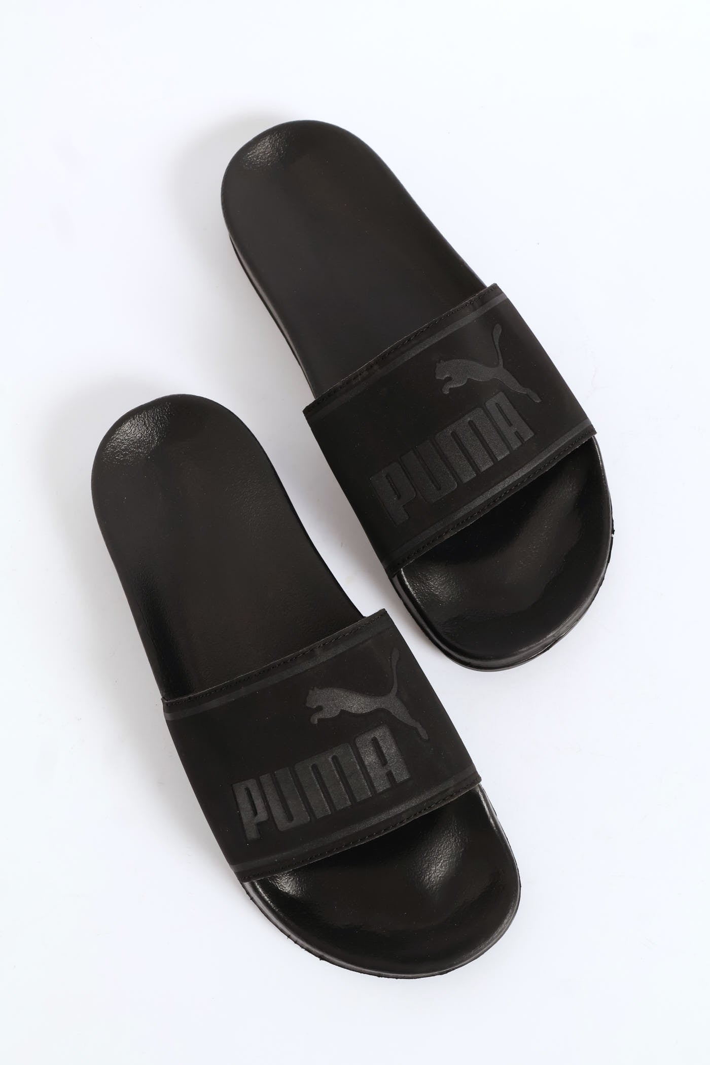Mens Poolcat Focus Zadp Slide - Black – Edgars