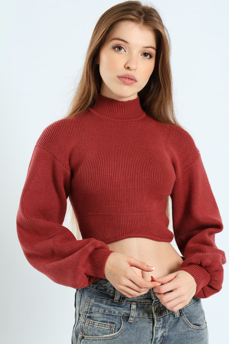 Cropped Turtle Neck Sweater - Chocolate