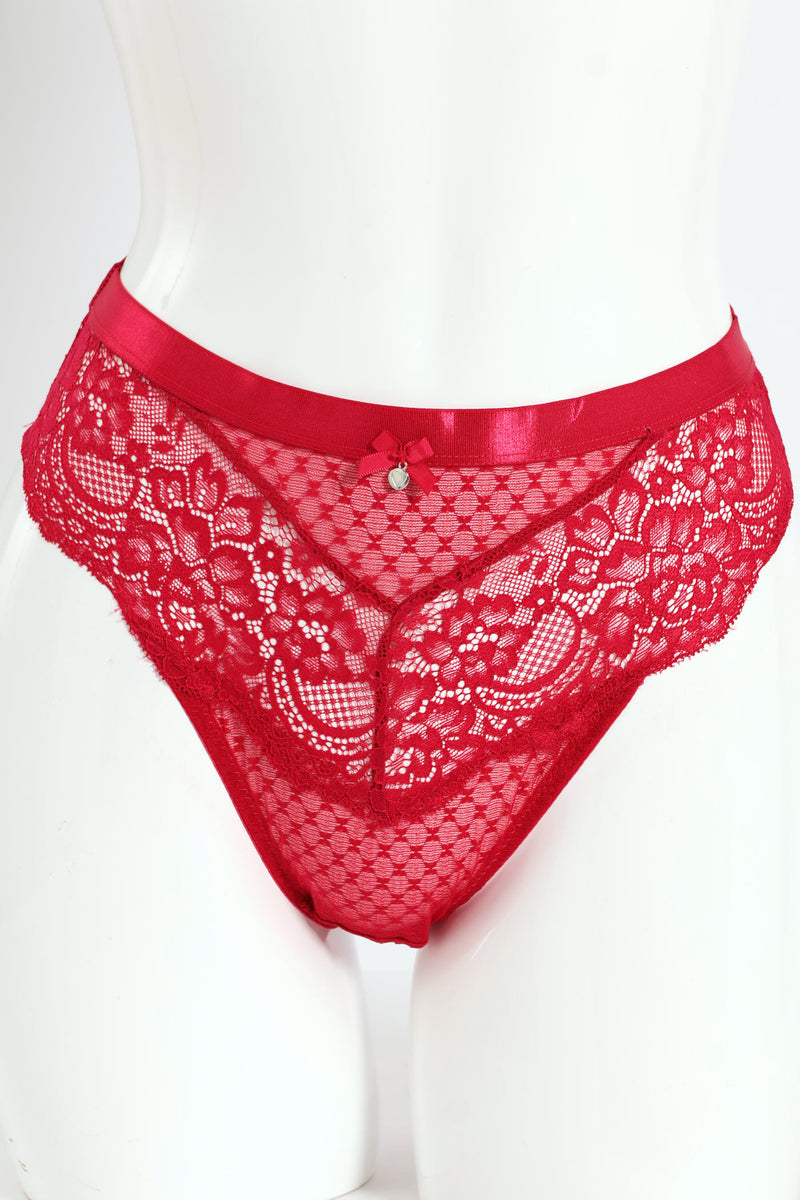 Lace & Dobby Mesh Hi Cut Panty - Raspberry
