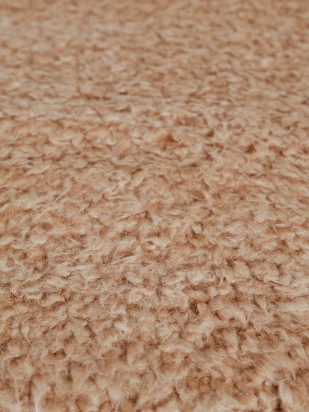 Teddy Fleece Blanket