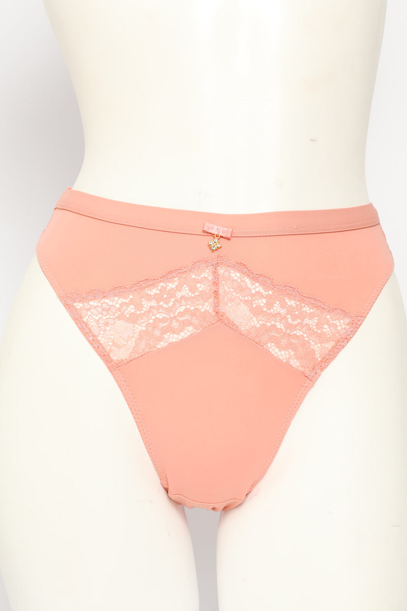 Microfibre & Lace Hi-Cut Panty - Rosetta