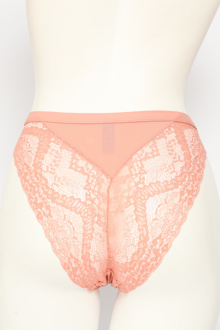 Microfibre & Lace Hi-Cut Panty - Rosetta