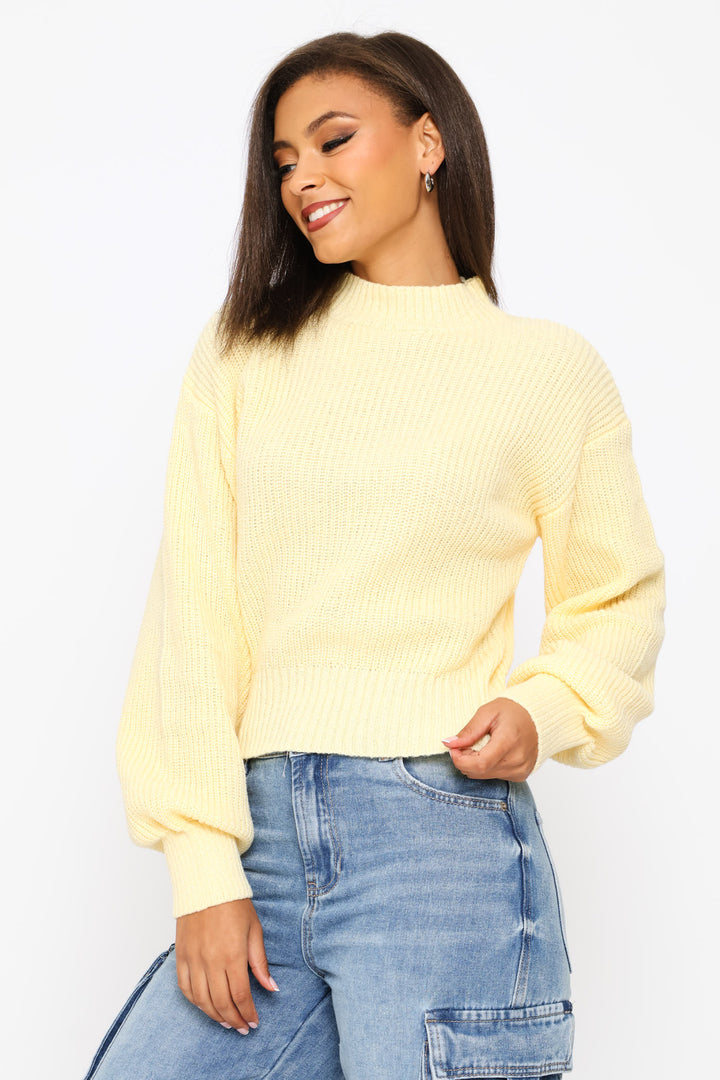 Plain  Knit Turtleneck Pullover - Yellow
