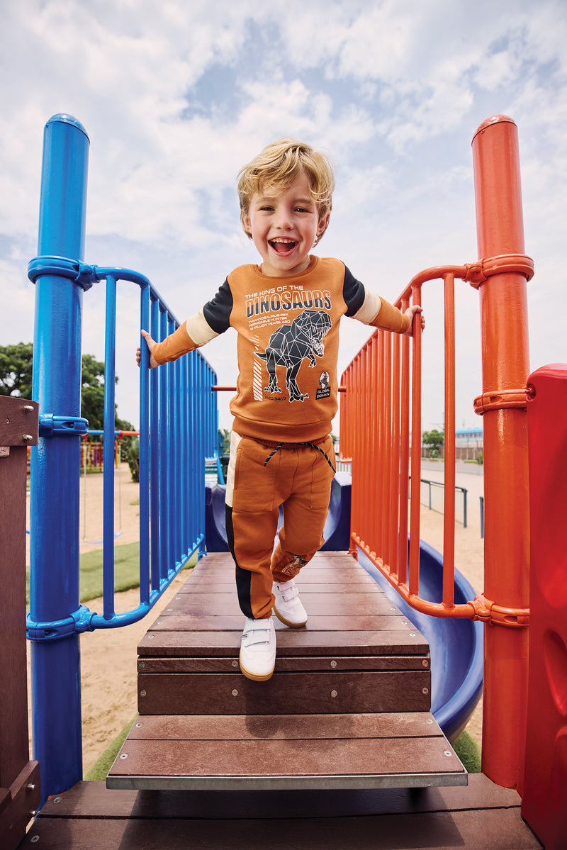 Pre-Boys Dino Colourblock Hoody - Rust